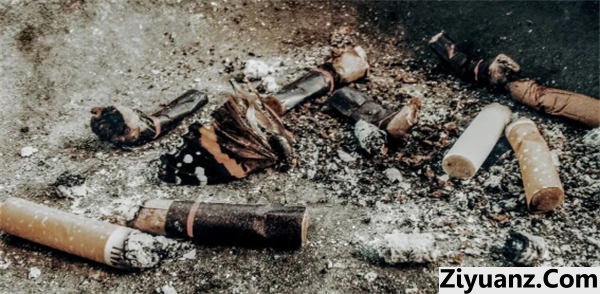 烟头真的可以回收吗?仅靠信息差完成日入300+ 赚钱 创业 好文分享 第2张 烟头真的可以回收吗?仅靠信息差完成日入300+ 赚钱 创业 好文分享 第2张