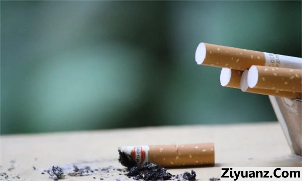 烟头真的可以回收吗?仅靠信息差完成日入300+ 赚钱 创业 好文分享 第3张 烟头真的可以回收吗?仅靠信息差完成日入300+ 赚钱 创业 好文分享 第3张