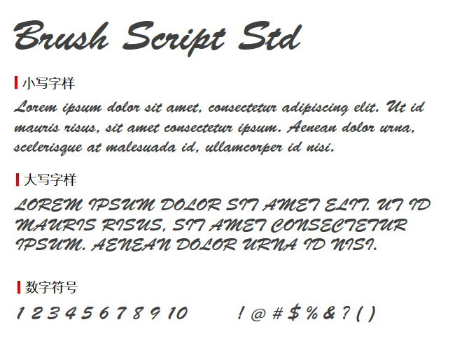 Brush script Std 字体下载