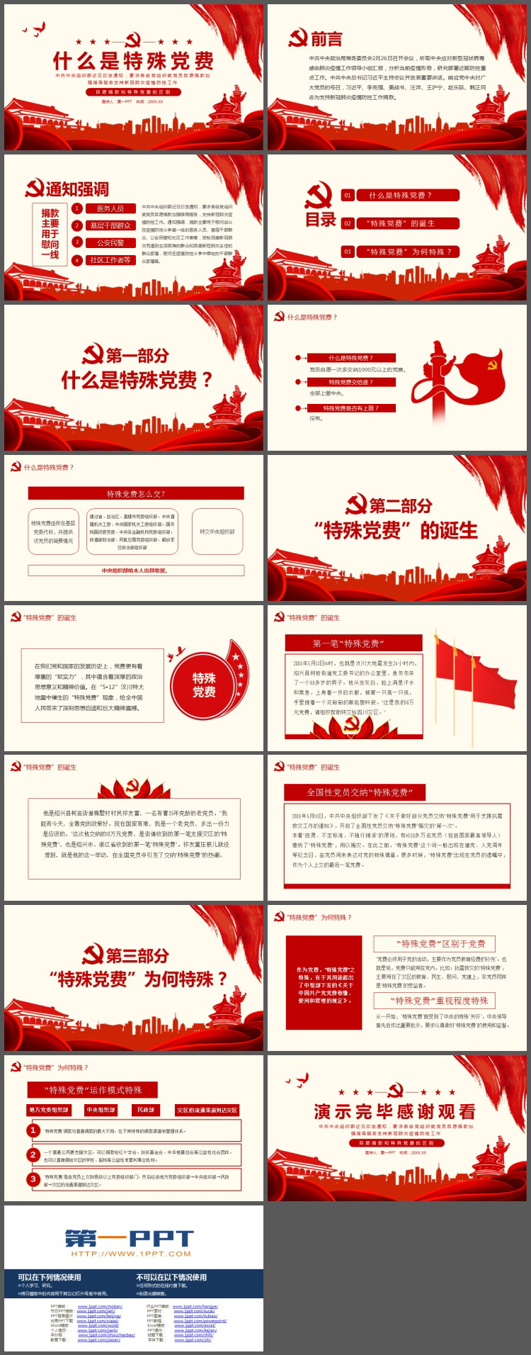 什么是特殊党费PPT