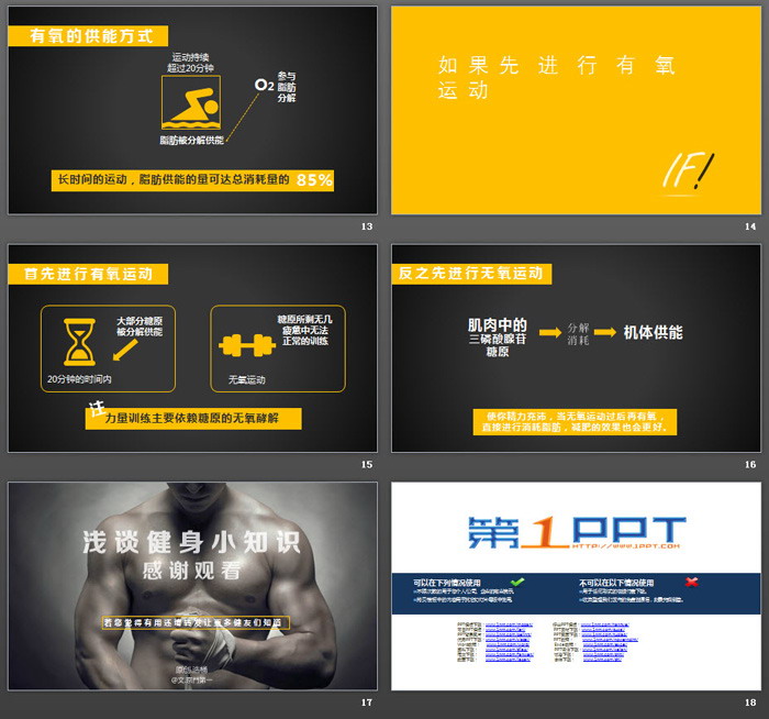 运动减肥小知识PPT下载