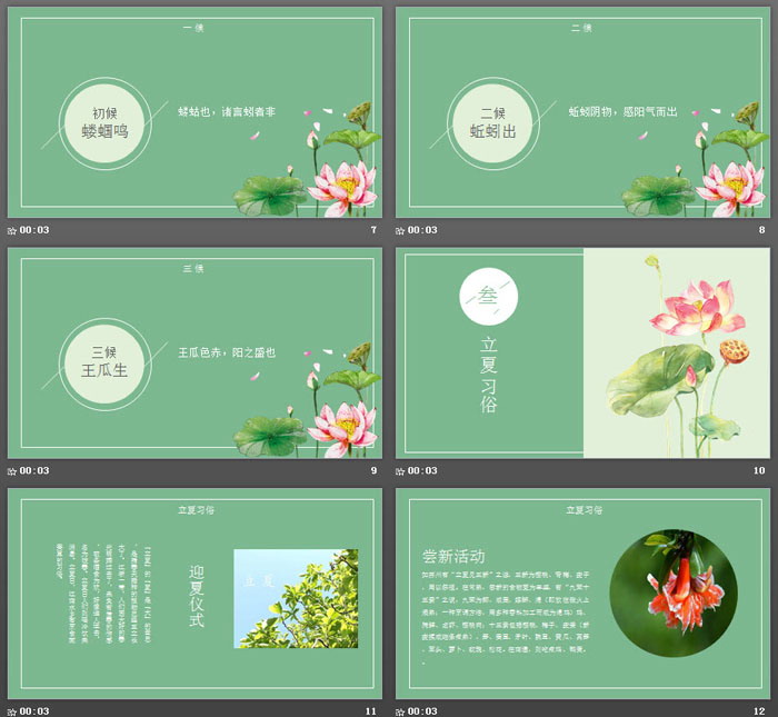 荷花蜻蜓背景的24节气立夏PPT模板