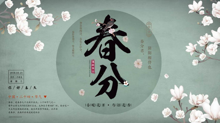 玉兰花背景的雅致春分节气介绍PPT模板