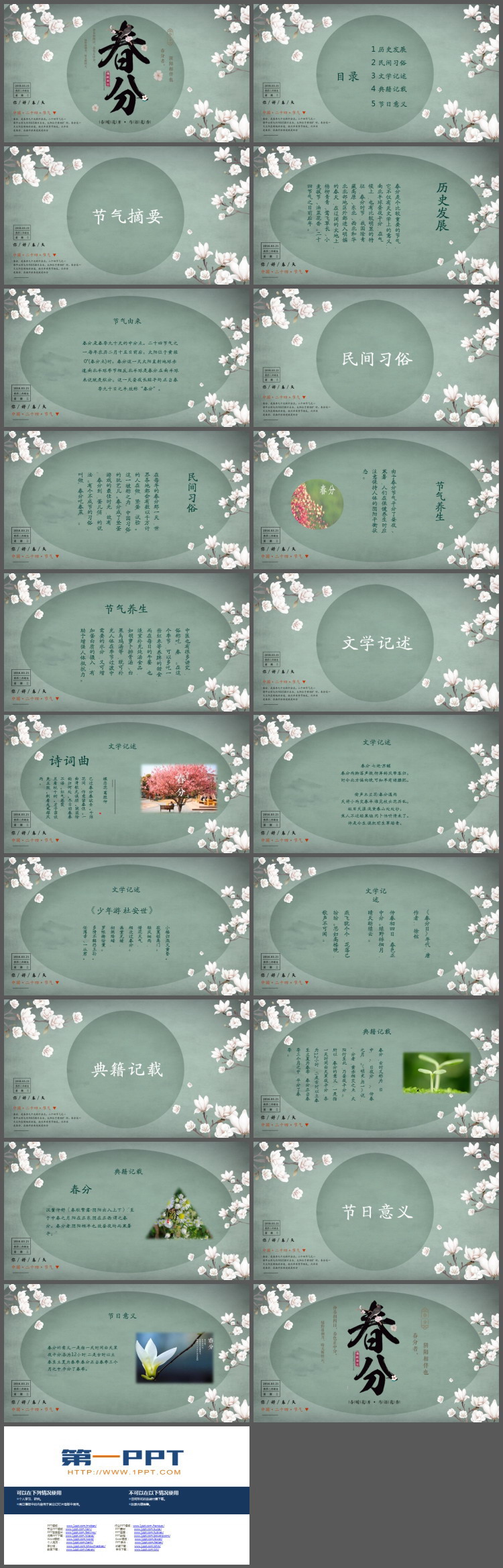 玉兰花背景的雅致春分节气介绍PPT模板