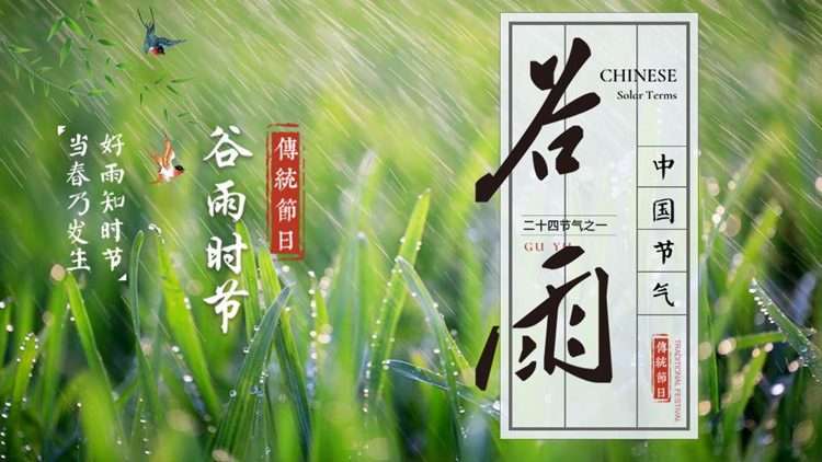 春雨背景的谷雨节气介绍PPT模板
