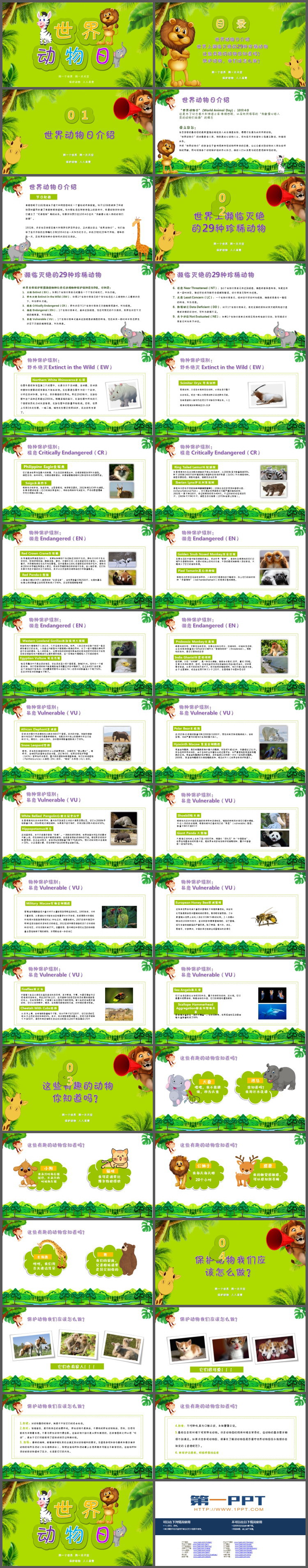 丛林斑马狮子大象背景的世界动物日PPT模板