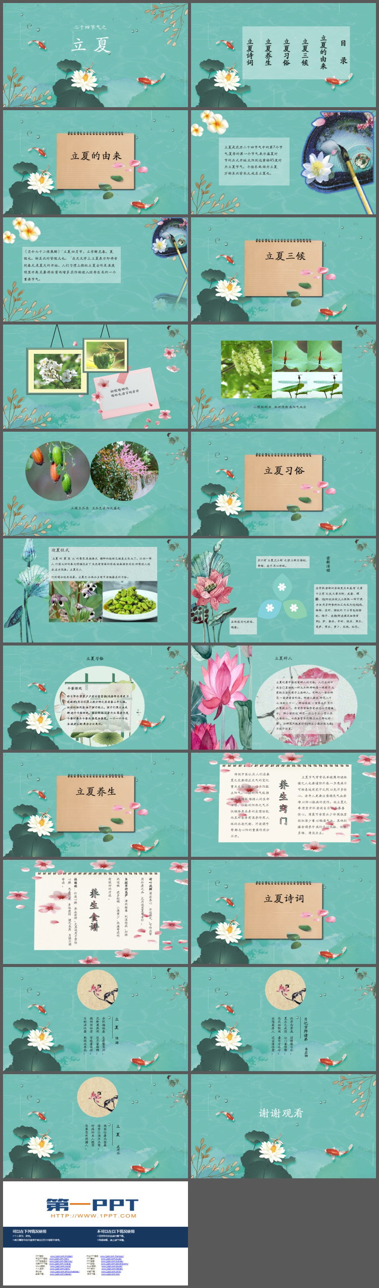 池塘鲤鱼荷花蜻蜓背景的立夏PPT模板