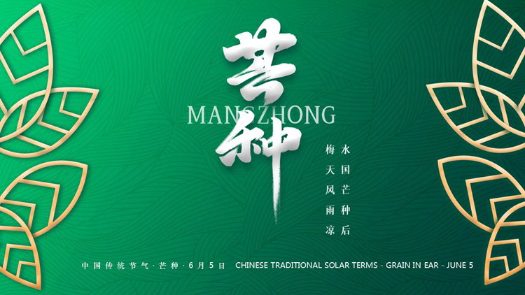 绿色精美新中式芒种节气PPT模板