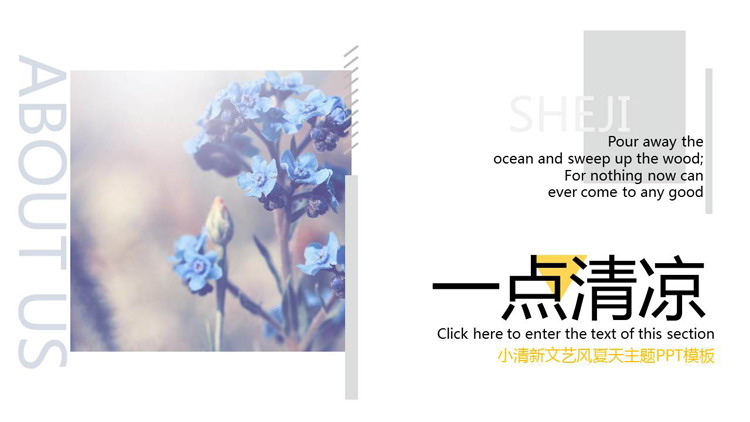 植物花卉背景的画册风夏日主题PPT模板