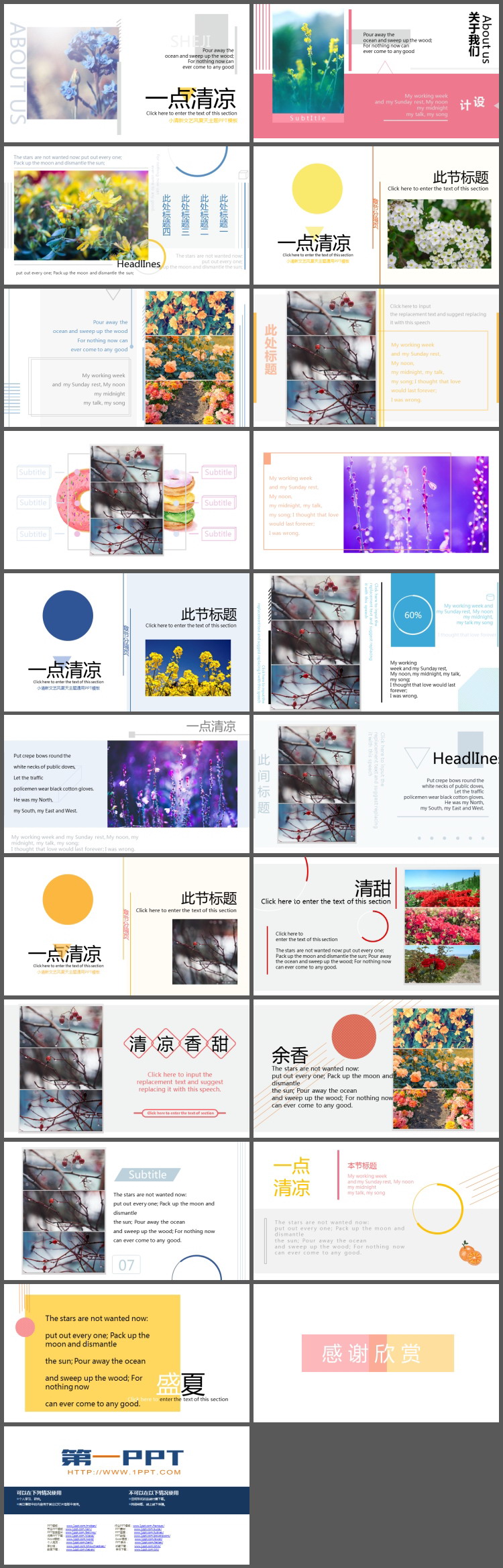 植物花卉背景的画册风夏日主题PPT模板