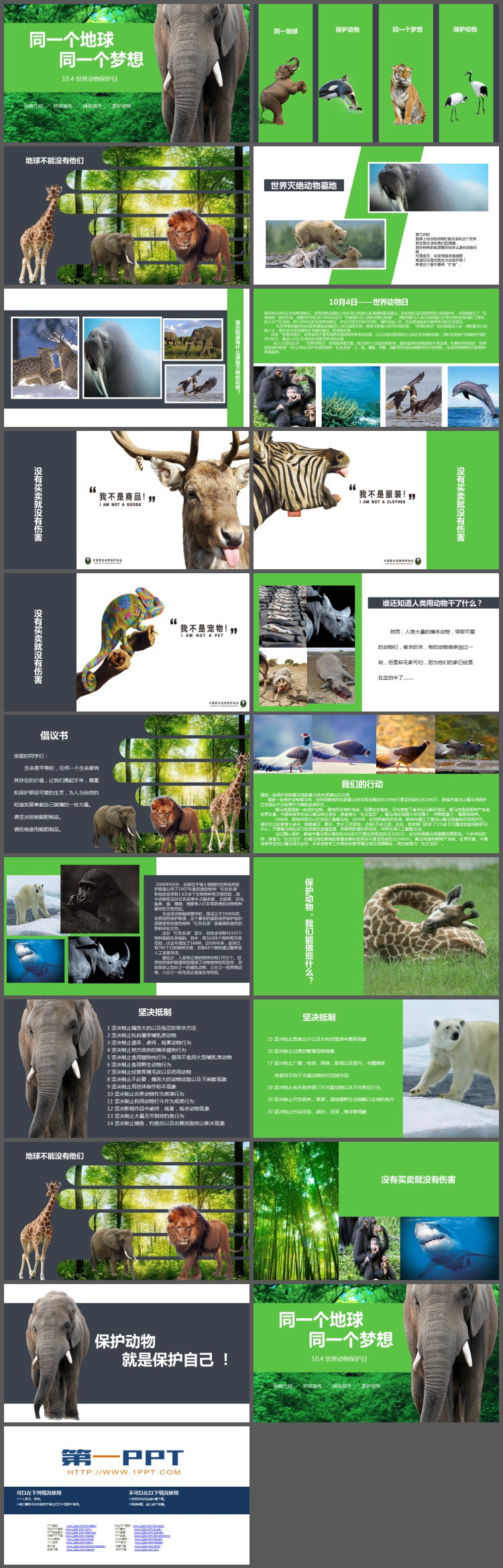 森林大象背景的世界动物日主题班会PPT模板