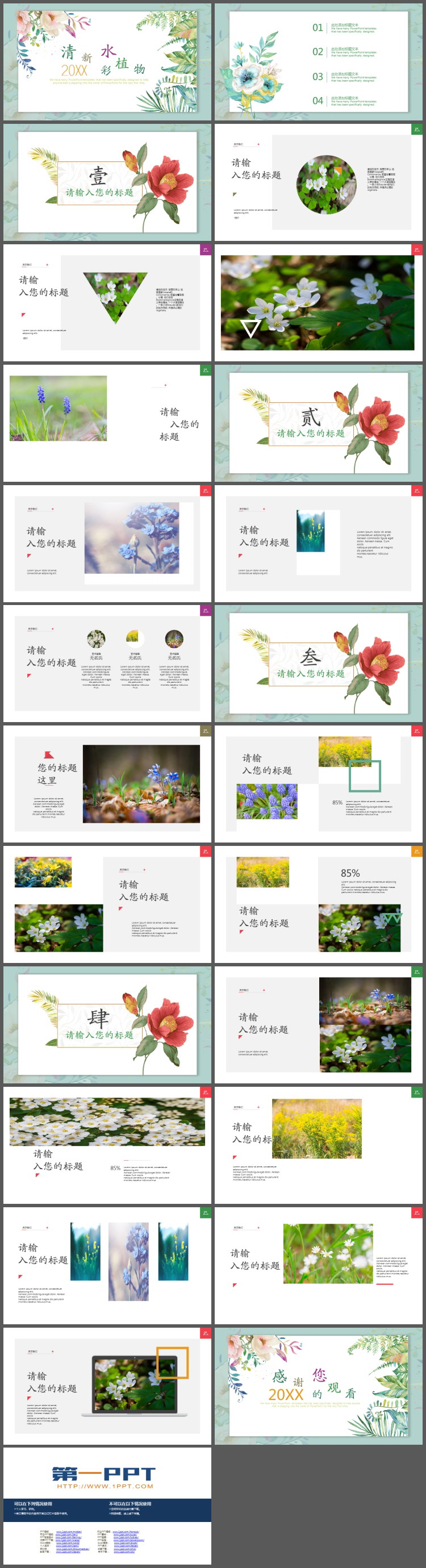 清新水彩植物叶子背景植物相册PPT模板