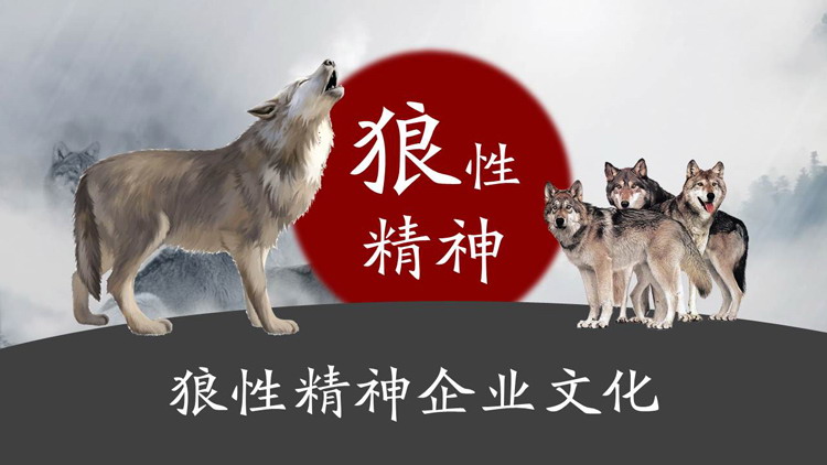 狼性精神企业文化PPT模板