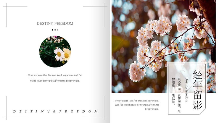 清新杂志画册风植物电子相册PPT模板