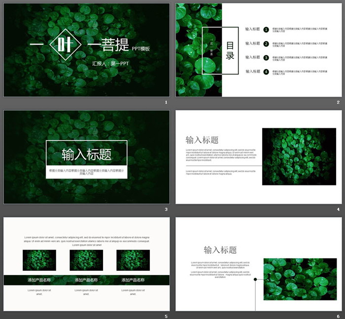 绿色清新植物叶子背景PPT模板