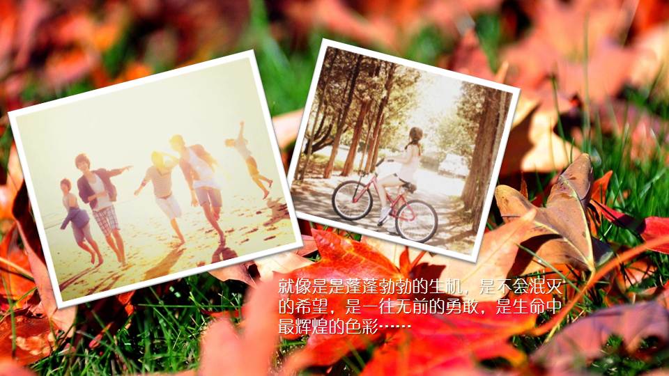 彩色动态怀旧照片相册PPT模板幻灯片4.JPG(4)