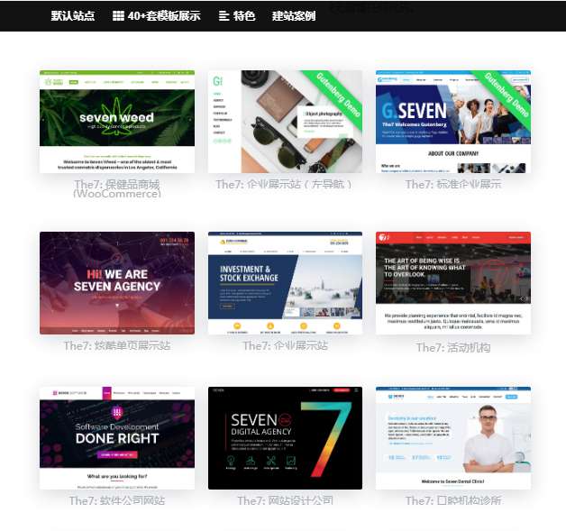 wordpress主题The7_ v9.40可视化建站最新汉化版带秘钥-资源站