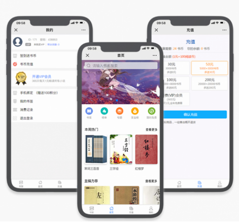 草莓CDMS原创内容分销系统-微信小说平台系统v1.0-资源站