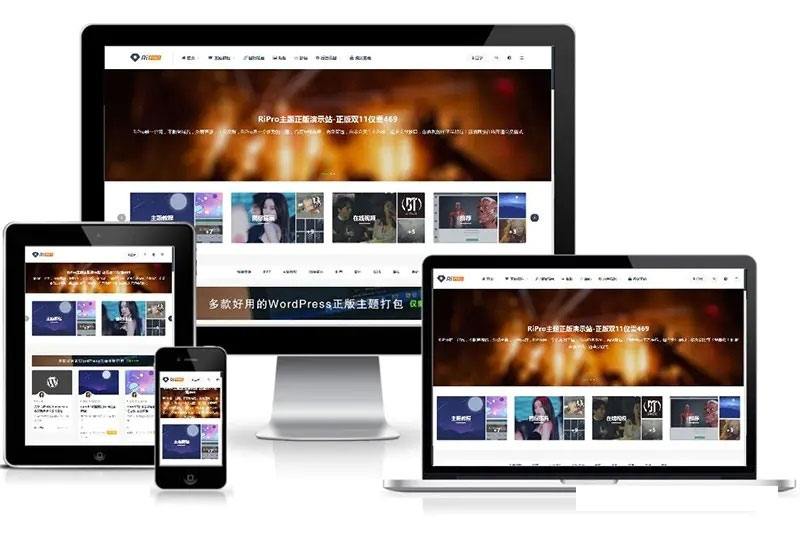 图片素材虚拟资源收费查看下载网站源码 自适应电脑手机端  WordPress主题-资源站