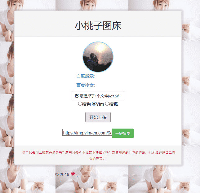 极简聚合图床程序源码 支持搜狗搜狐Vim图-资源站