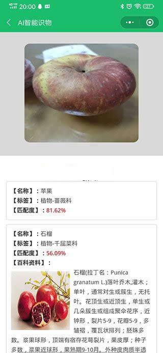 AI智能识物小程序 v1.2.1-资源站 AI智能识物小程序 v1.2.1-资源站