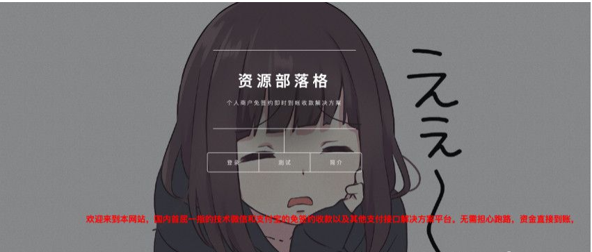 据说价值4K的第三方支付平台源码商业支付源码-ss-资源站