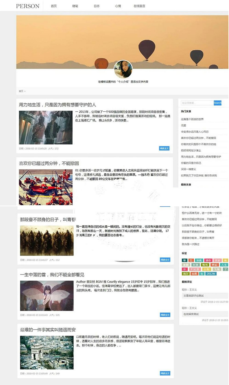 (带手机移动端)简洁PERSON个人博客新闻资讯网站源码 织梦dedecms模板-资源站