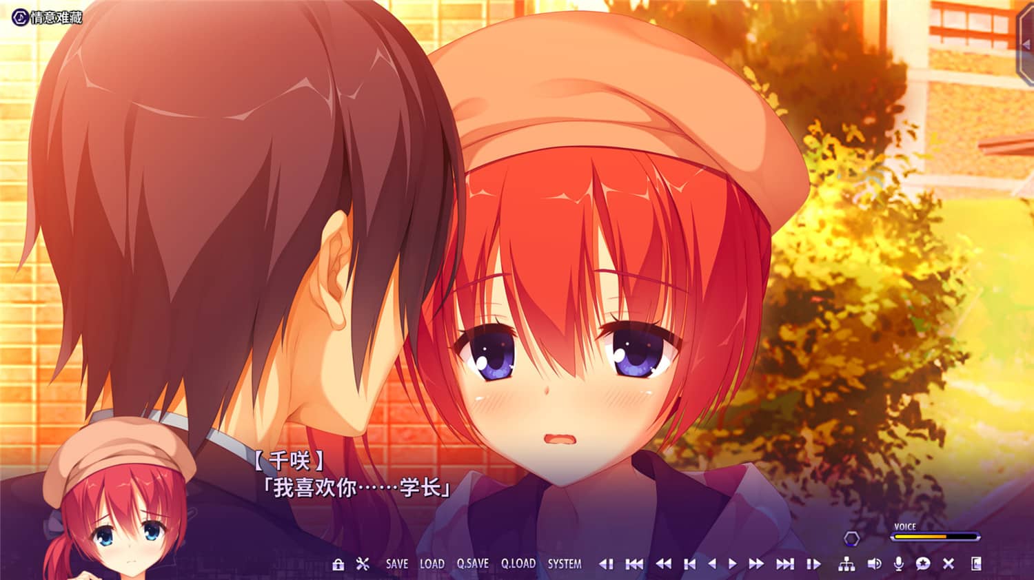 谜语小丑/Riddle Joker-资源站