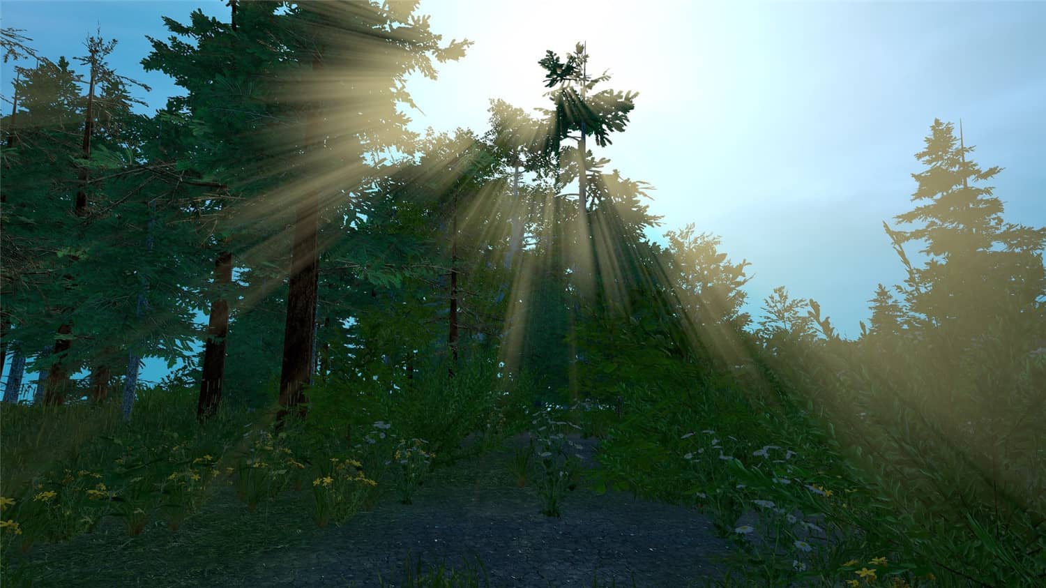 荒野的试炼/Trials of Wilderness-资源站