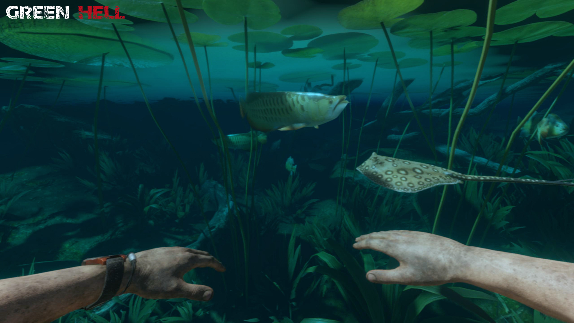 绿色地狱/丛林地狱-资源站