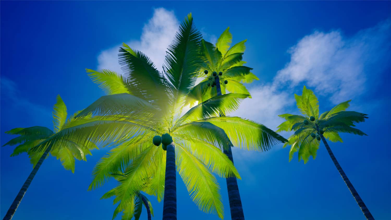 我的海岛/My Island-资源站