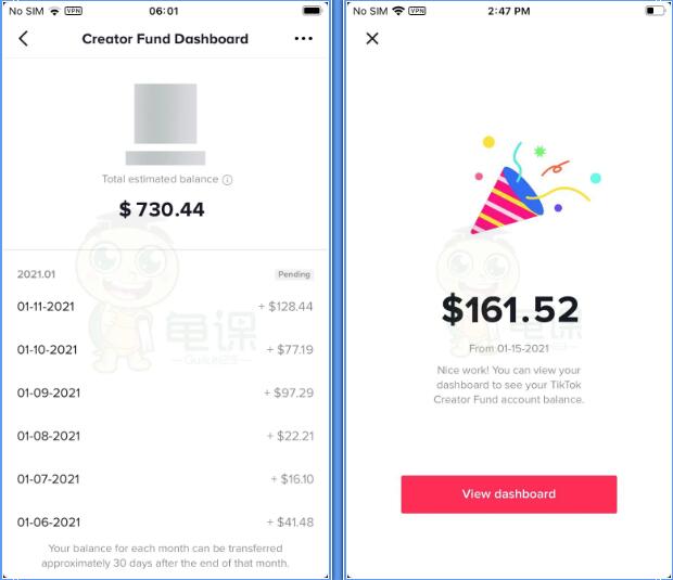 龟课·Tik Tok变现实战训练营线上第2期：日入上百+美刀 月收益上万不成问题-资源站