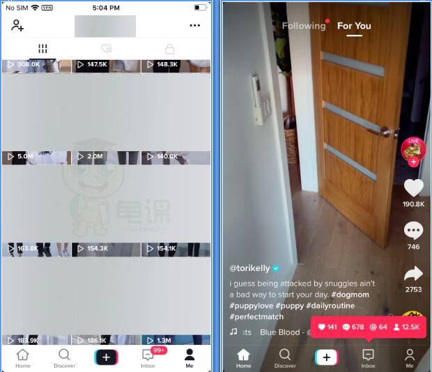 龟课·Tik Tok变现实战训练营线上第2期：日入上百+美刀 月收益上万不成问题-资源站