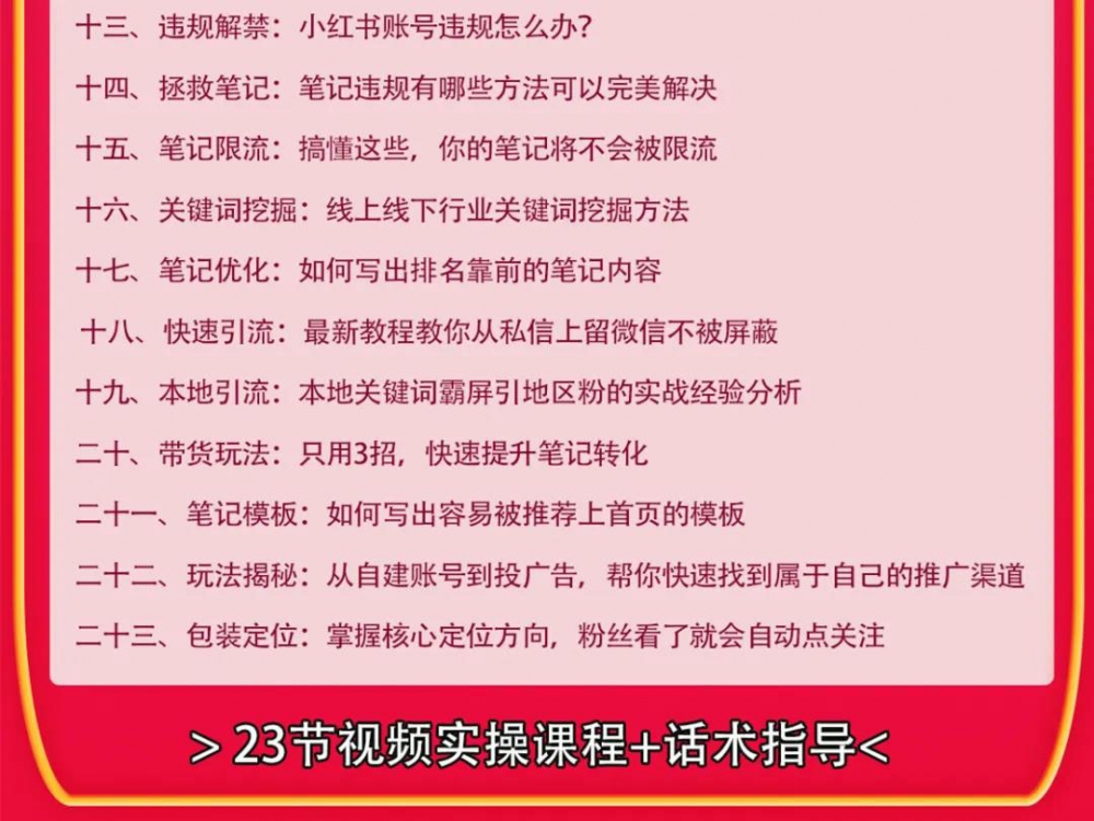 小红书爆款推广引流训练课9.0，手把手带你玩转小红书 一部手机即可月入万元-资源站