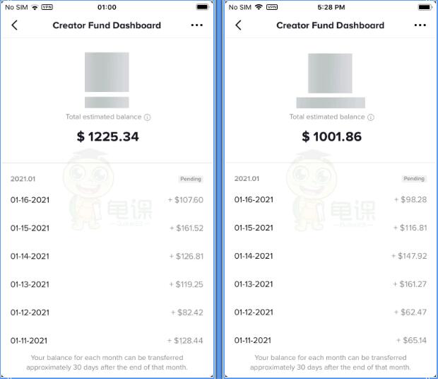 龟课·Tik Tok变现实战训练营线上第2期：日入上百+美刀 月收益上万不成问题-资源站