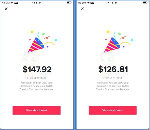 龟课·Tik Tok变现实战训练营线上第2期：日入上百+美刀 月收益上万不成问题-资源站