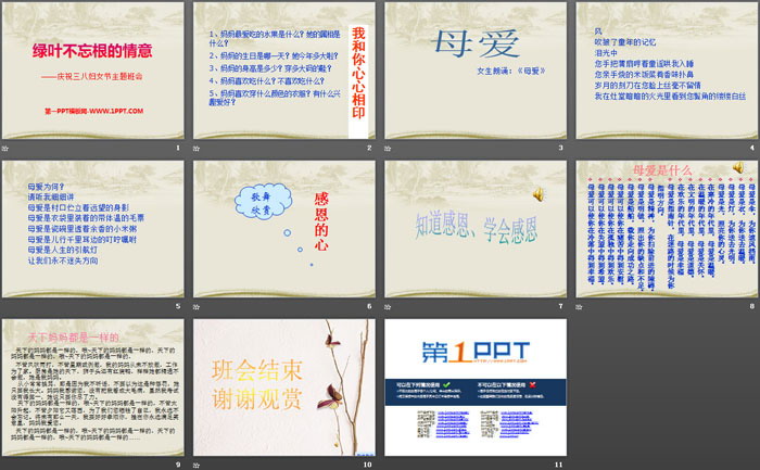 《绿叶不忘根的情意》PPT