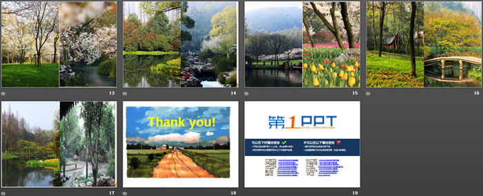 《了解植树节》PPT