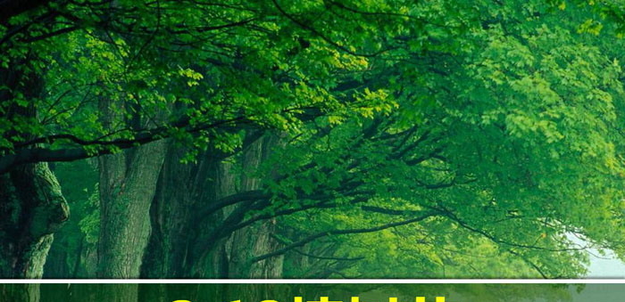 《3.12植树节》PPT下载