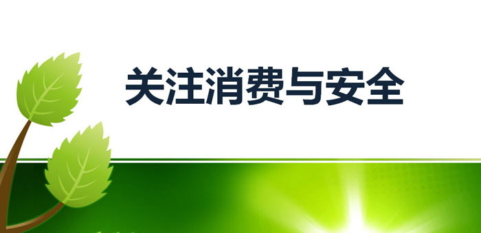 《关注消费与安全》PPT