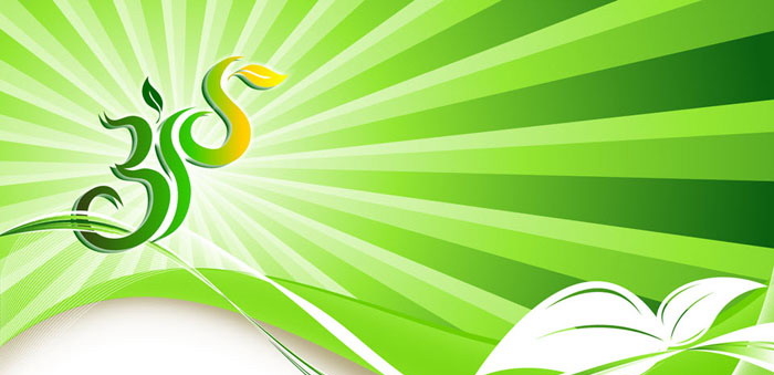 《消费在阳光下》PPT