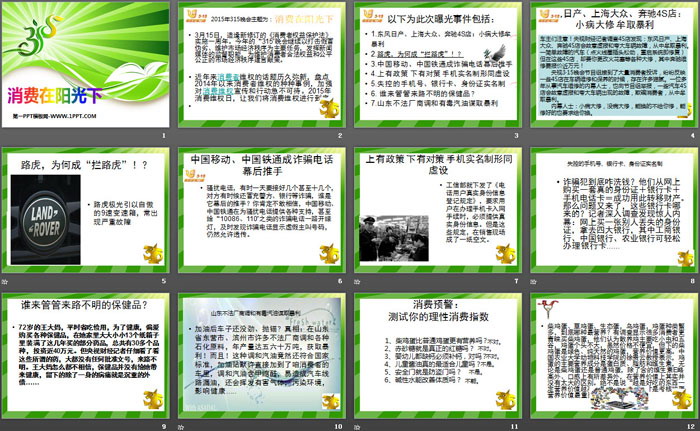 《消费在阳光下》PPT
