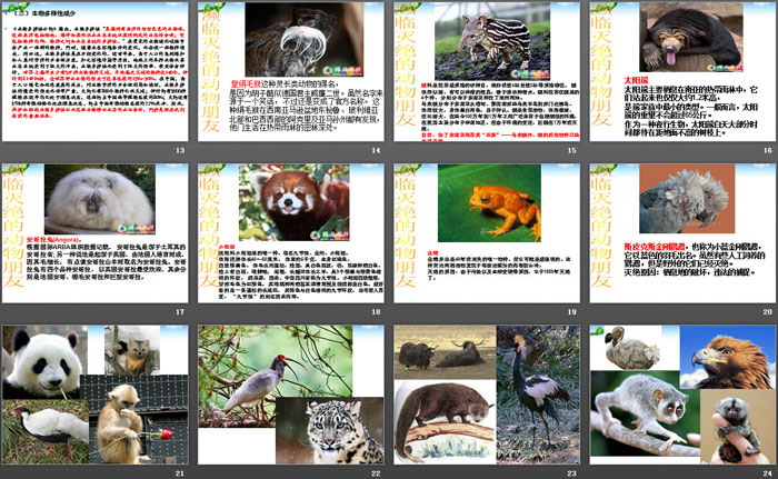 《爱护我们的家园》PPT