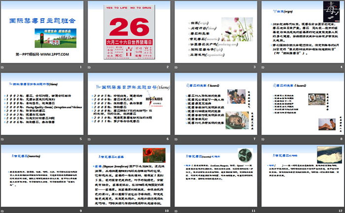 《国际禁毒日主题班会》PPT