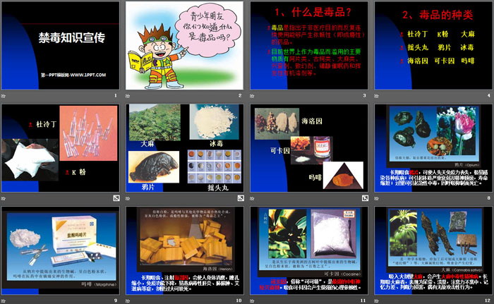 《禁毒知识宣传》PPT