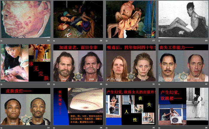 《禁毒知识宣传》PPT