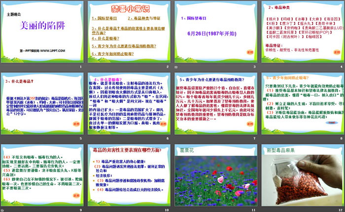 《美丽的陷阱》PPT