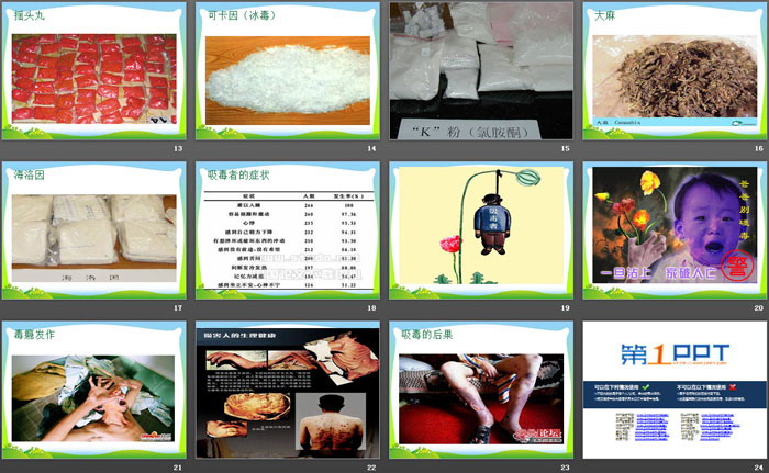 《美丽的陷阱》PPT
