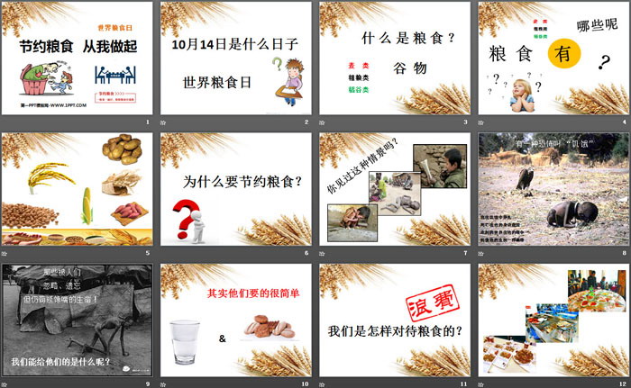 《节约粮食 从我做起》PPT