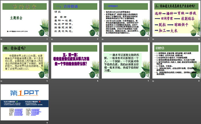 《节约粮食》PPT